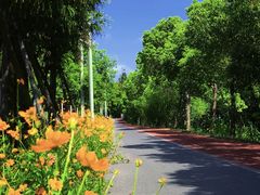 -上海长兴岛郊野公园