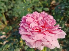 -人民公园(罗湖区)