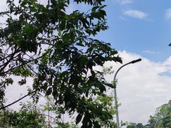 -天鹿湖森林公园