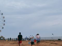 -奉贤海滩