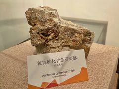 -烟台自然博物馆