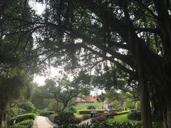 -厦门大学(思明校区)