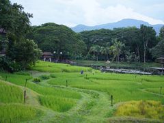 -四季酒店下午茶