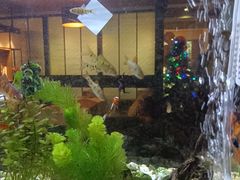 -意卡菲·欢乐聚会餐厅(华侨店)