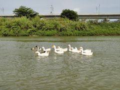 -光明小镇欢乐田园