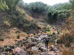 -东白山