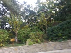 -石岛赤山风景区