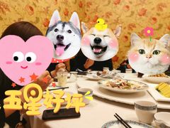 -巴依老爷新疆美食(工体旗舰店)