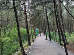 -帽儿山国家森林公园