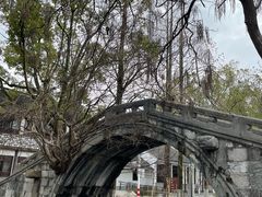 -练塘古镇