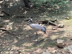 -燕塞湖鸟语林景区