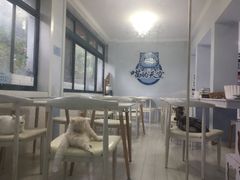 -喵的天空名猫咖啡馆·撸猫·猫舍·用品