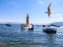 -抚仙湖禄充风景区