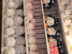 -大连圣亚海洋世界