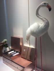 -INNEREAL英妮芮医疗美容
