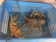 -班赞海鲜市场