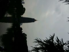 android_upload_pic-常州海昌海洋探索馆