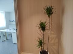 -柏乐口腔(南宁总院)