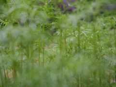 -厦门国家会计学院