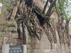 -中国宜宾·长江地标广场