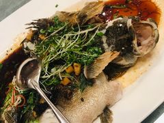 清蒸笋壳鱼-博多新记·粤菜(复兴店)