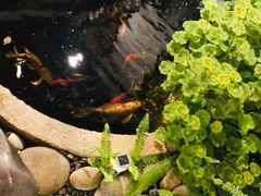 -大富贵烧烤公司(双廊店)