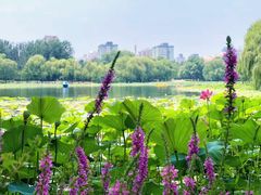 -WhaleSports户外水上运动俱乐部(朝阳公园店)