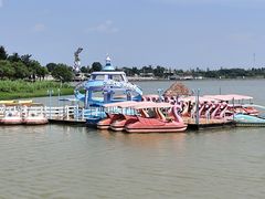 -九龙湖公园
