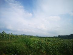 -光明小镇欢乐田园