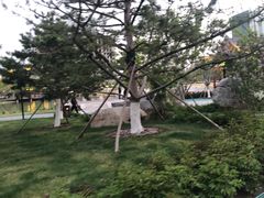 -西海子公园