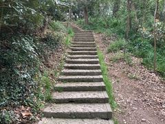 -上海佘山国家森林公园天马山园