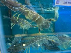 -協成海鮮火鍋(老店)