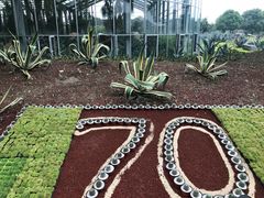 -南通洲际绿博园