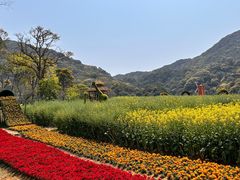 -广州市石门国家森林公园