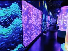 -顺德南宏海立方海洋公园