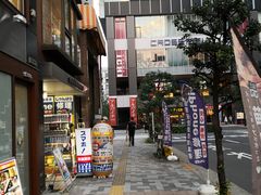 -秋叶原电器街