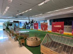 -可可天空农场(东部新城银泰店)
