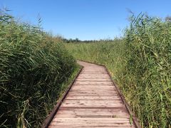 -西青郊野公园