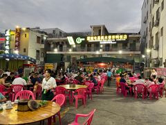 -霞姐屯昌枫木香草鸭店(海螺店)