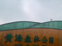 -黄海国家森林公园