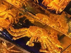 -蟹道乐(道顿堀本店)