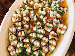 -呼吸森林·生态农庄农家乐私房菜