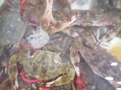 -四海鲜渔家菜(黄金海岸店)