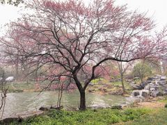 -中国茶叶博物馆(双峰馆区)