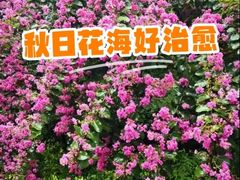 -杭州城北体育公园