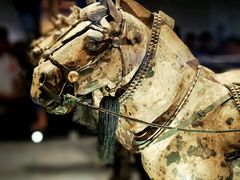 -秦始皇帝陵博物院(兵马俑)