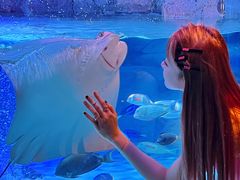 -沈阳海洋探索中心