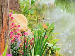 -人民公园(罗湖区)