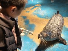 -萌宠奇缘(荣鼎店)