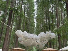 -黄海国家森林公园